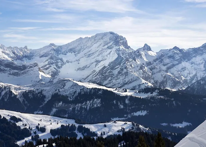 Gai Matin A 9 By Interhome * Chesières