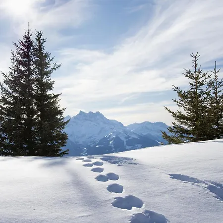 Gai Matin A 9 By Interhome * Chesières