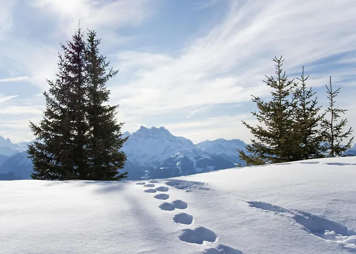 Gai Matin A 9 By Interhome * Chesières